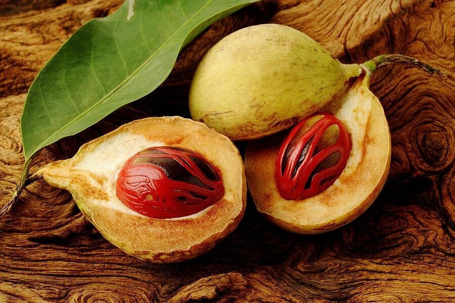 Grenada nutmeg featured on the spice, rum and chocolate tour