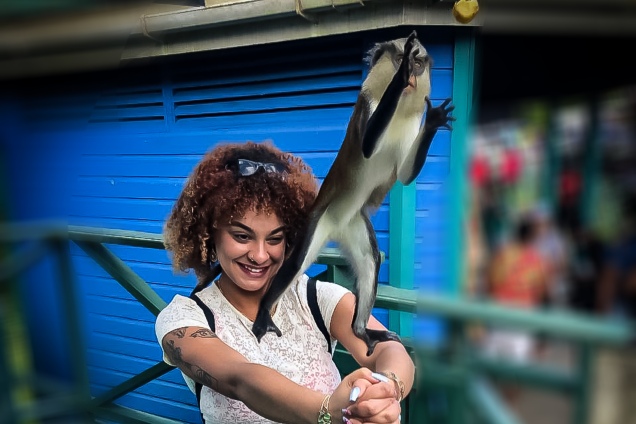 grand etang mona monkey